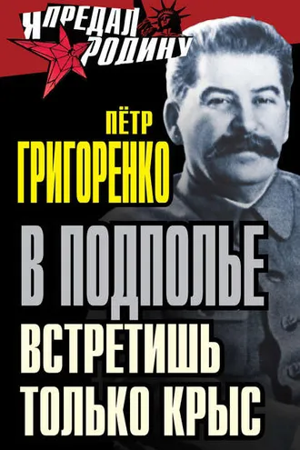 Обложка книги «В подполье встретишь только крыс»