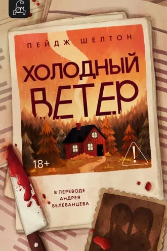 Обложка книги «Холодный ветер»