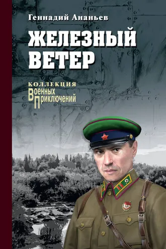 Обложка книги «Железный ветер»