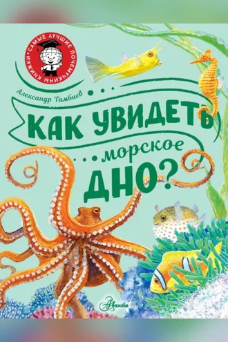 Обложка книги «Как увидеть морское дно?»