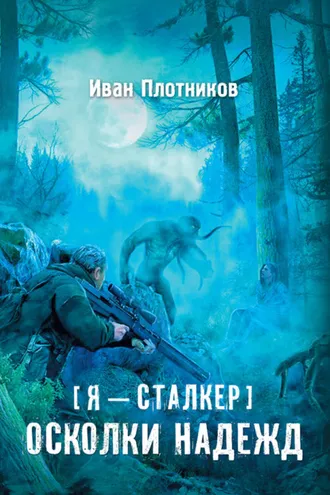 Обложка книги «Осколки надежд»