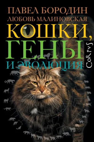 Обложка книги «Кошки, гены и эволюция»