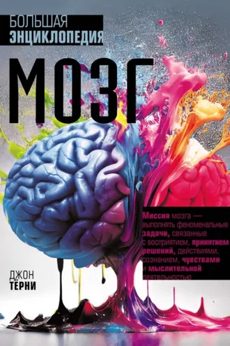 Обложка книги «Мозг. Большая энциклопедия»