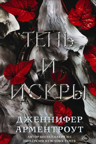 Обложка книги «Тень и искры»