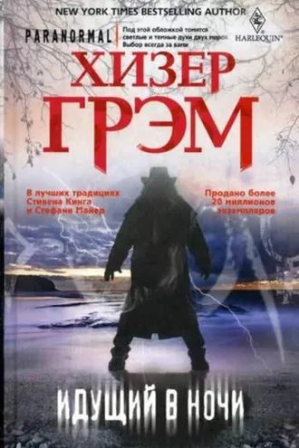 Обложка книги «Идущий в ночи»