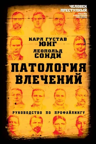 Обложка книги «Патология влечений. Руководство по профайлингу»