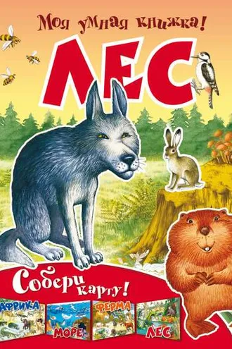 Обложка книги «Лес»