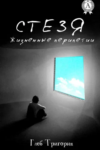 Обложка книги «Стезя. Жизненные перипетии»