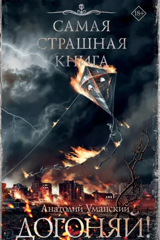Обложка книги «Догоняй!»
