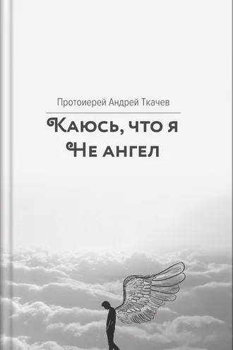 Обложка книги «Каюсь, что я не ангел»