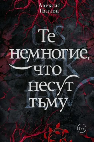 Обложка книги «Те немногие, что несут тьму»