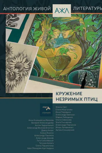 Обложка книги «Кружение незримых птиц»