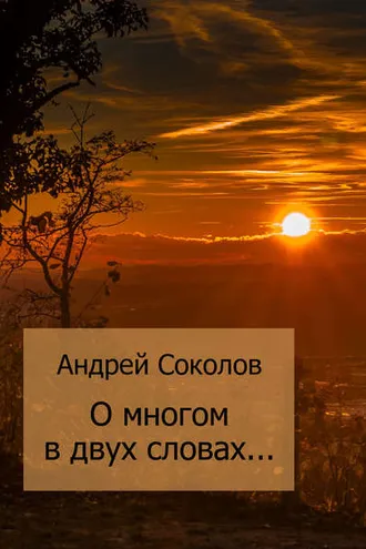 Обложка книги «О многом в двух словах…»