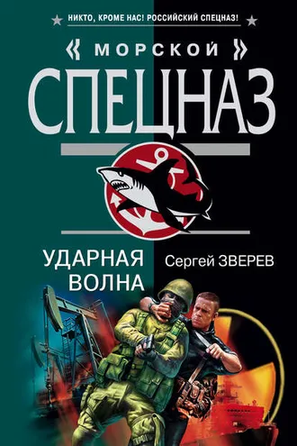 Обложка книги «Ударная волна»