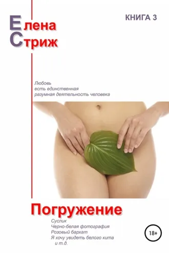 Обложка книги «Погружение»