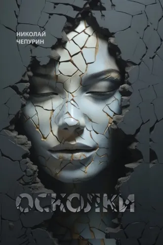 Обложка книги «Осколки»