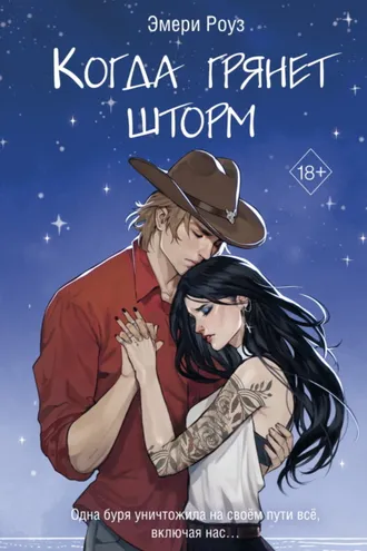 Обложка книги «Когда грянет шторм»