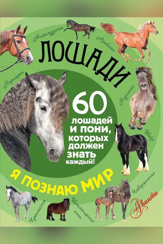 Обложка книги «Лошади. 60 лошадей и пони, которых должен знать каждый!»