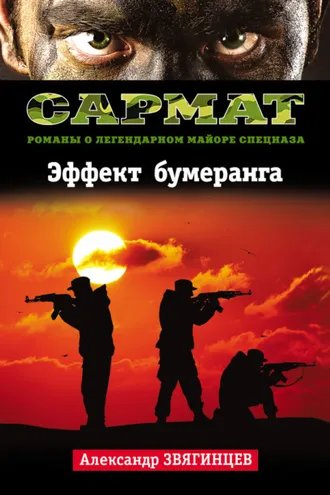 Обложка книги «Эффект бумеранга»