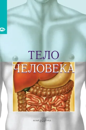 Обложка книги «Тело человека»