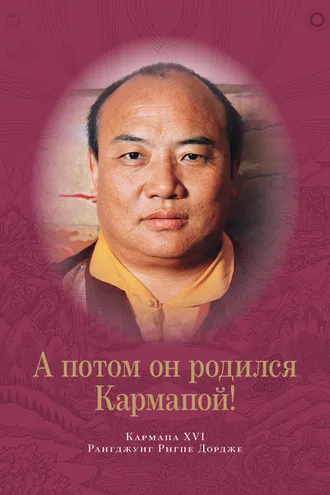Обложка книги «А потом он родился Кармапой!»