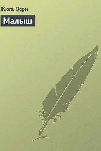 Обложка книги «Малыш»