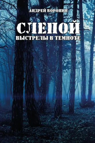 Обложка книги «Слепой. Выстрелы в темноте»