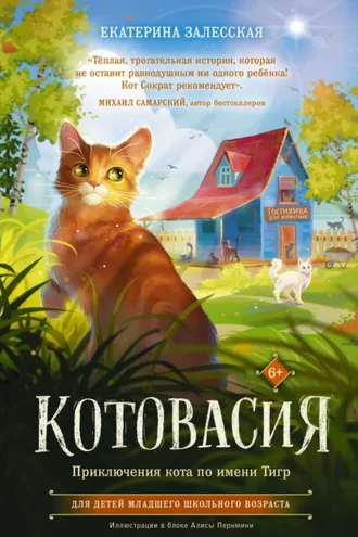 Обложка книги «Котовасия. Приключения кота по имени Тигр»