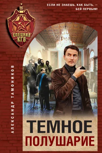 Обложка книги «Темное полушарие»