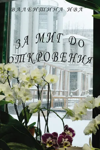 Обложка книги «За миг до откровения»