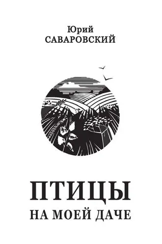 Обложка книги «Птицы на моей даче (сборник)»
