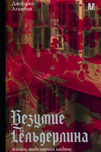 Обложка книги «Безумие Гёльдерлина. Жизнь, поделенная надвое»