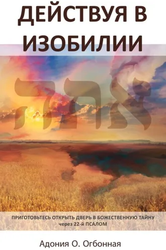 Обложка книги «Действуя в изобилии»