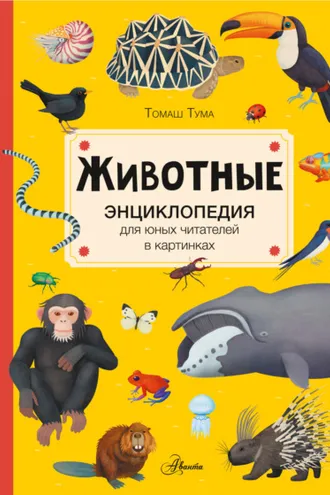 Обложка книги «Животные»