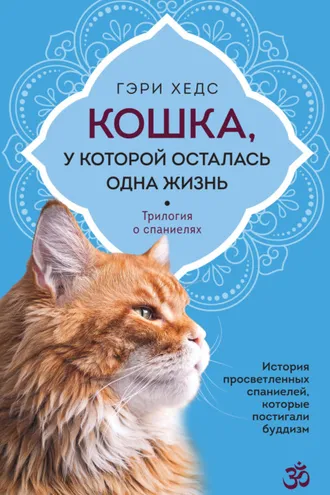 Обложка книги «Кошка, у которой осталась одна жизнь»