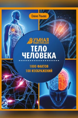 Обложка книги «Тело человека. Энциклопедия»