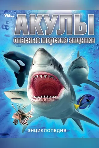 Обложка книги «Акулы. Опасные морские хищники»