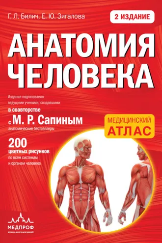 Обложка книги «Анатомия человека»