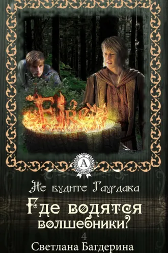 Обложка книги «Где водятся волшебники?»