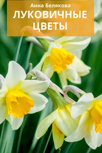 Обложка книги «Луковичные цветы»