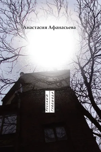 Обложка книги «Полый шар»