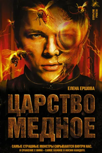 Обложка книги «Царство медное»