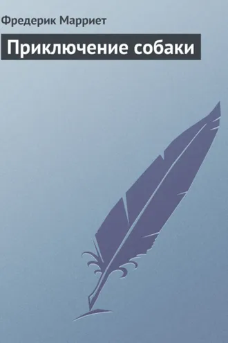 Обложка книги «Приключение собаки»