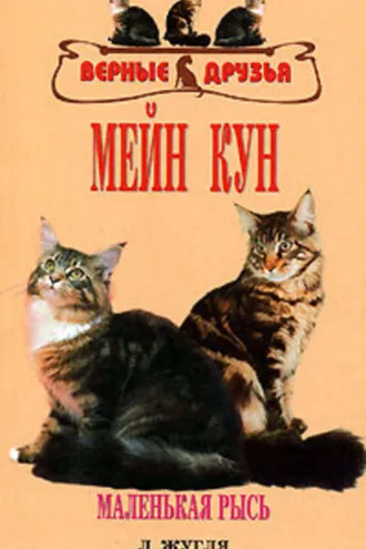 Обложка книги «Мейн кун»