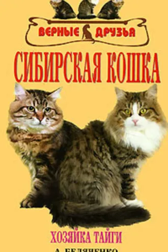 Обложка книги «Сибирская кошка»