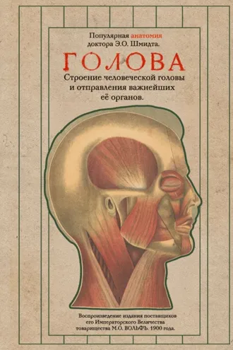 Обложка книги «Голова. Строение человеческой головы и отправления важнейших её органов»