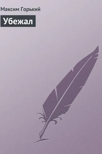 Обложка книги «Убежал»