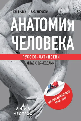 Обложка книги «Анатомия человека. Русско-латинский атлас с QR-кодами»