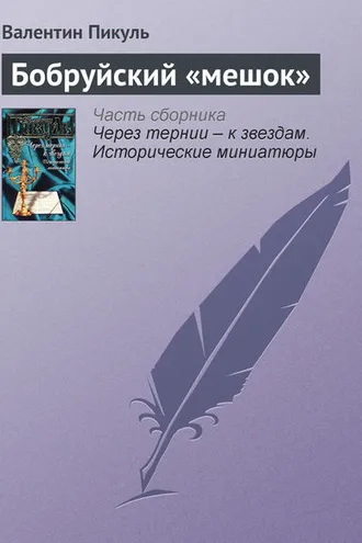 Обложка книги «Бобруйский «мешок»»