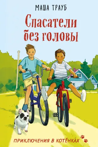 Обложка книги «Спасатели без головы»